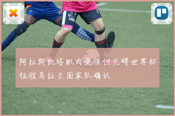 阿拉斯凯塔肌肉受伤但无碍世界杯征程乌拉圭国家队确认